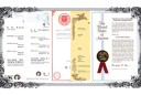 patent_main_footer