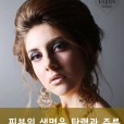 새모델로
